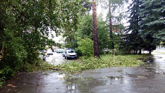 Штормовой ветер уже сутки бушует в Озерске. Сильный штормовой ветер повалил деревья и рекламные проспекты.